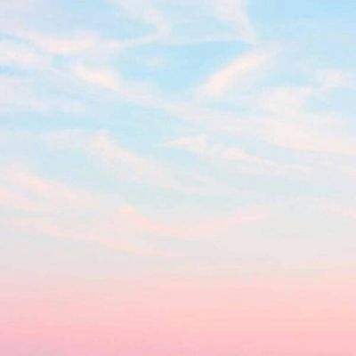 帮阿Sue整理书房